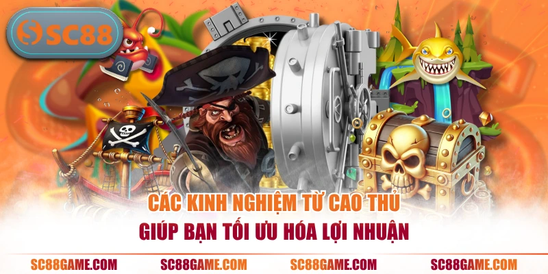 Các kinh nghiệm từ cao thủ giúp bạn tối ưu hóa lợi nhuận